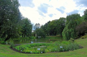 Ogród_Botaniczny_UMCS_w_Lublinie_(SZ-2014-08-23)_02